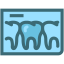 Dental Bridges Studies