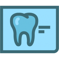 Early Dental Care