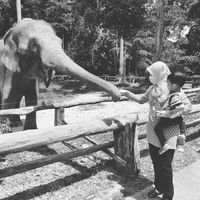Cik Isma Eyra